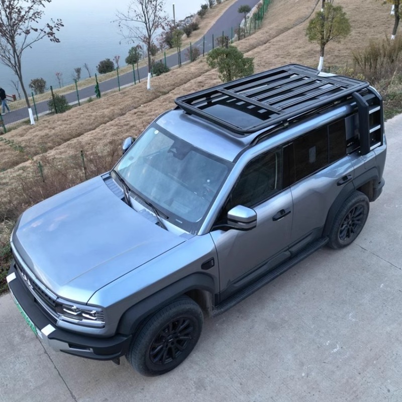 No-Drill Roof Rack Cargo Platf - Overland Roof Rack Platform review and price