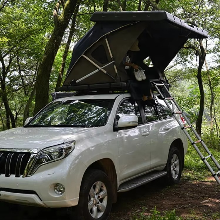2022 New Camping 2 Person Elec - Roof Top Tent Hard Shell 2 Person review and price