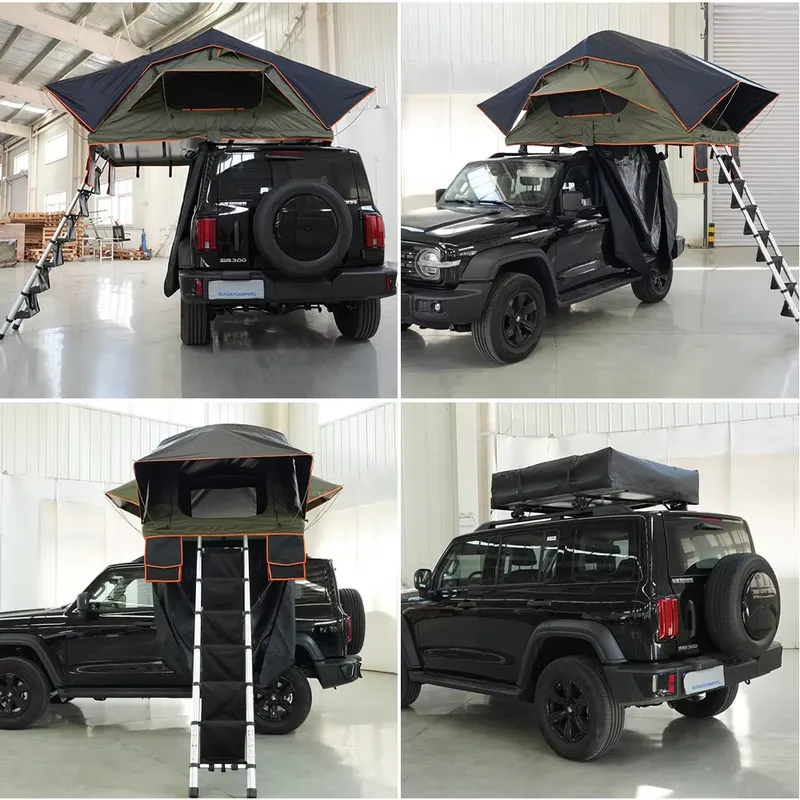 Factory Folding Waterproof Fam - Roof Top Tent Soft Shell 3 Person review and price